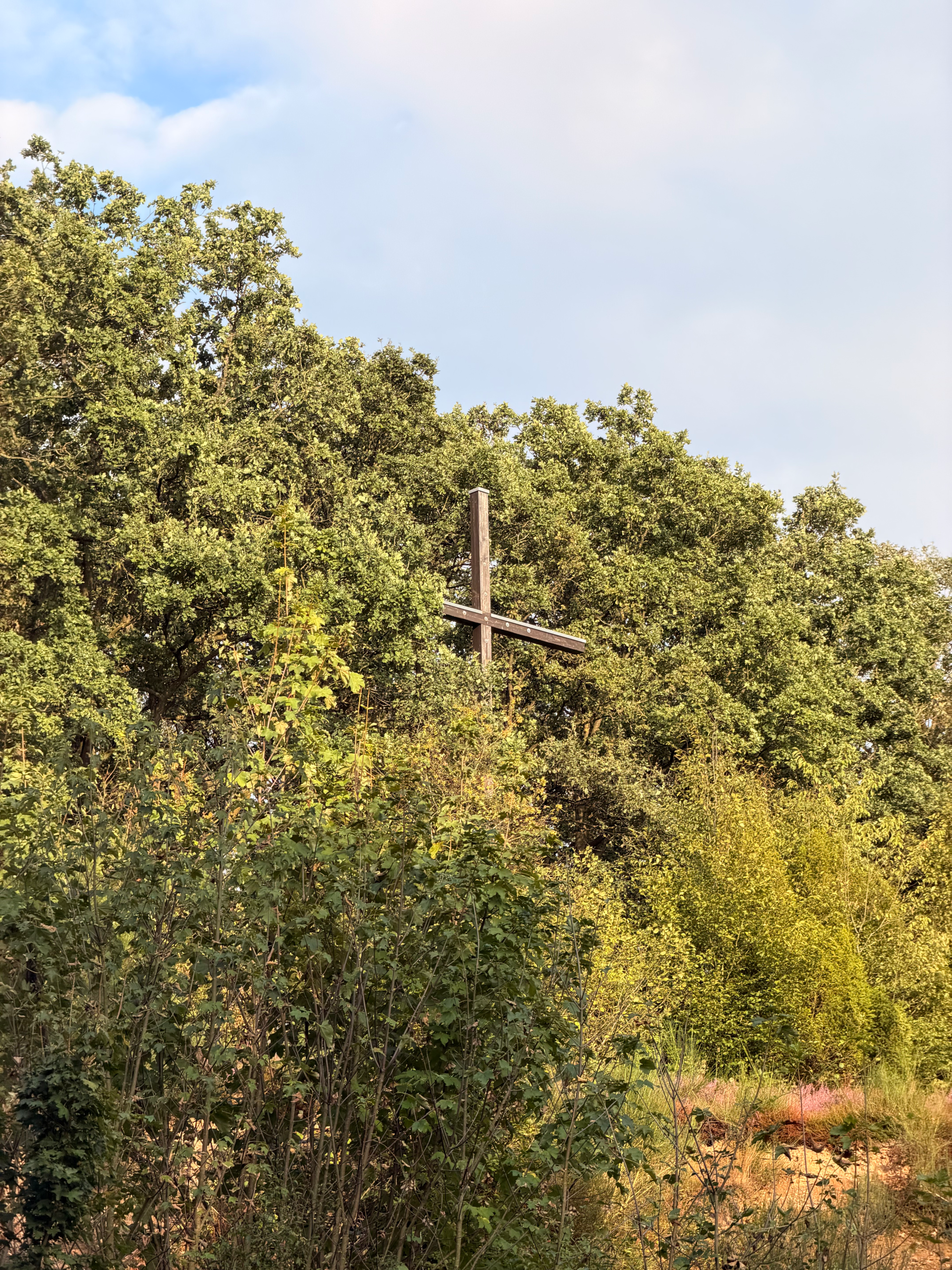 Mahnkreuz Spatzenberg zwischen den Bäumen
